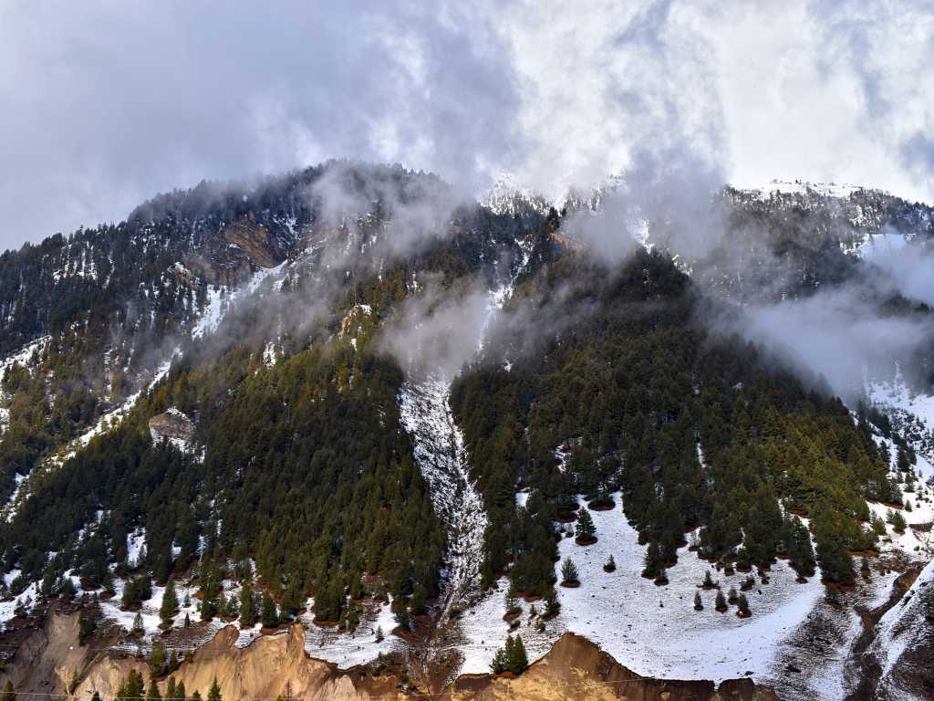 clouds hovering over a snow-covered mountain with green pines