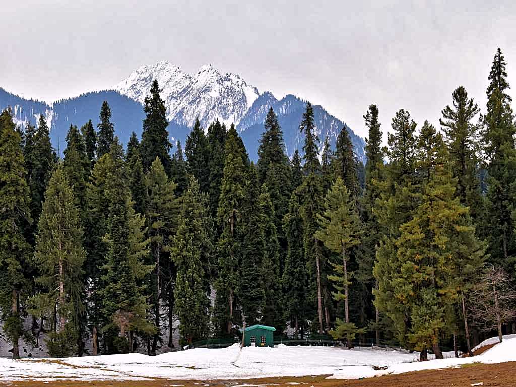 Hut near pine trees and mountains in kashmir tour