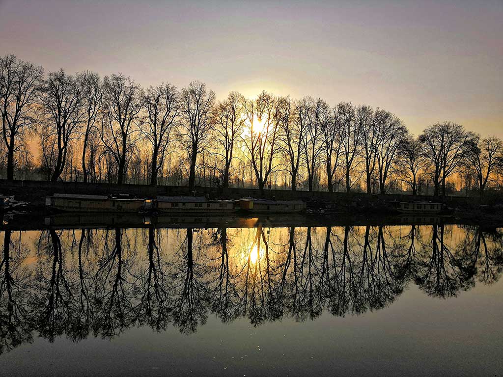 Dal Lake reflection of Chinar trees and Houseboats in Kashmir tour by EKa Experiences
