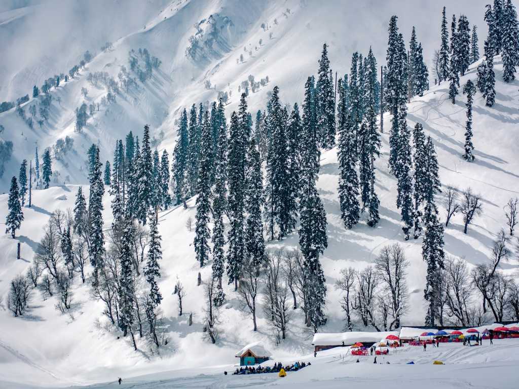 Gulmarg view of Pine trees and mountains under snow