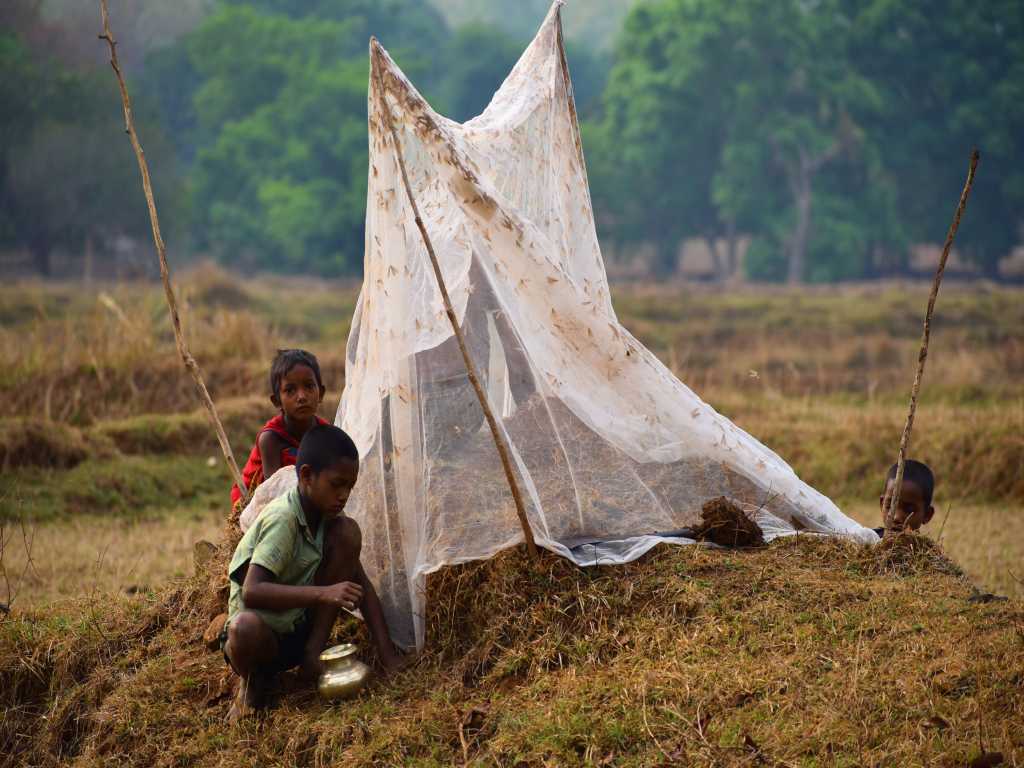 Local tribal kids around their insect catching nets