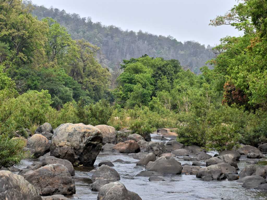 Boulders on river in odisha national park forests