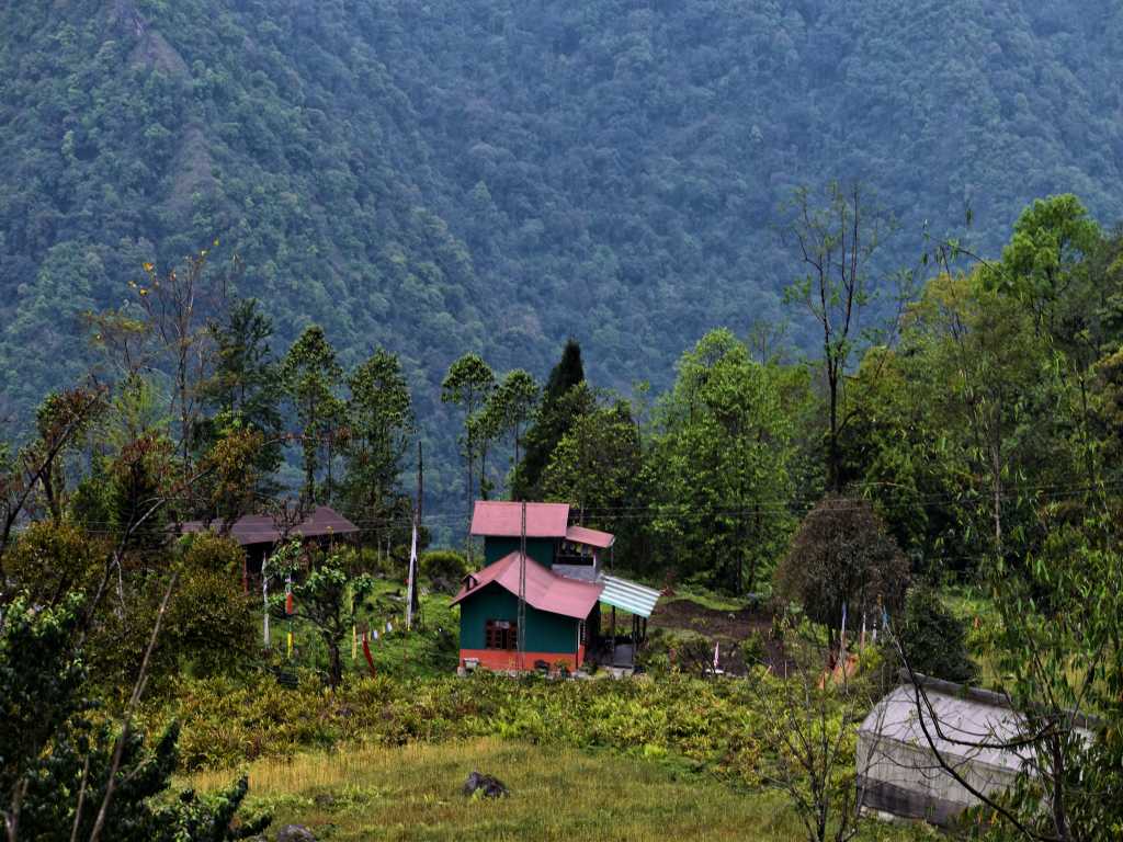 Homestay and Farm in the mountains of North Sikkim