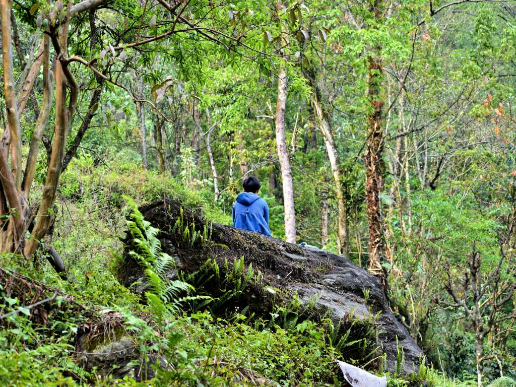 A man sitting in solitude in the jungles of North Sikkim