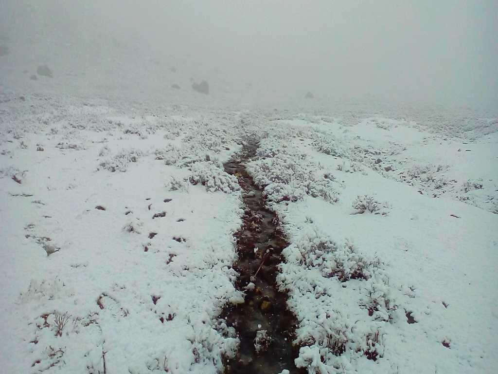 Campsite Dzongri Goechala Snow Trek Eka