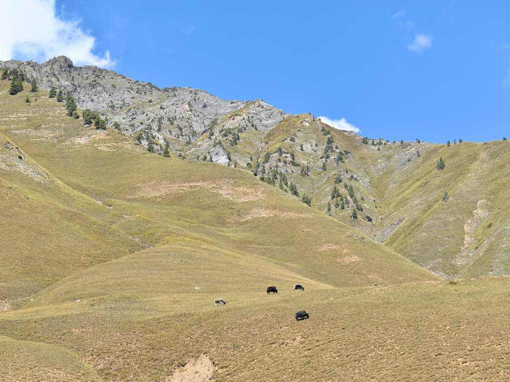 Mountains of Tulail Valley Gurez