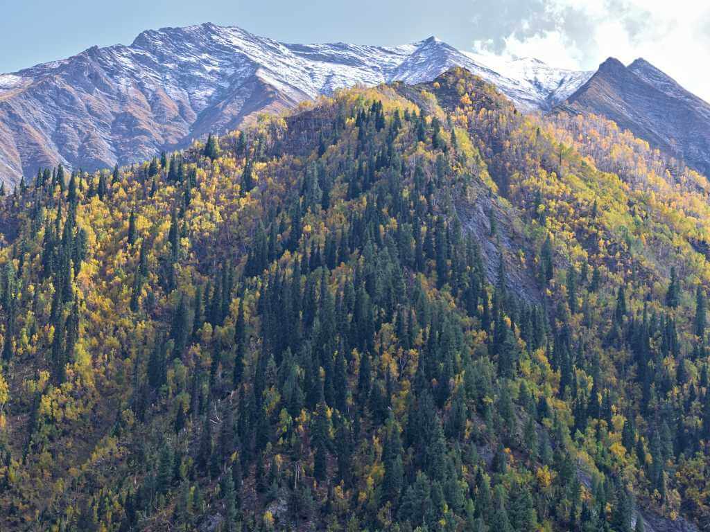 Gurez Valley Eka Experiences