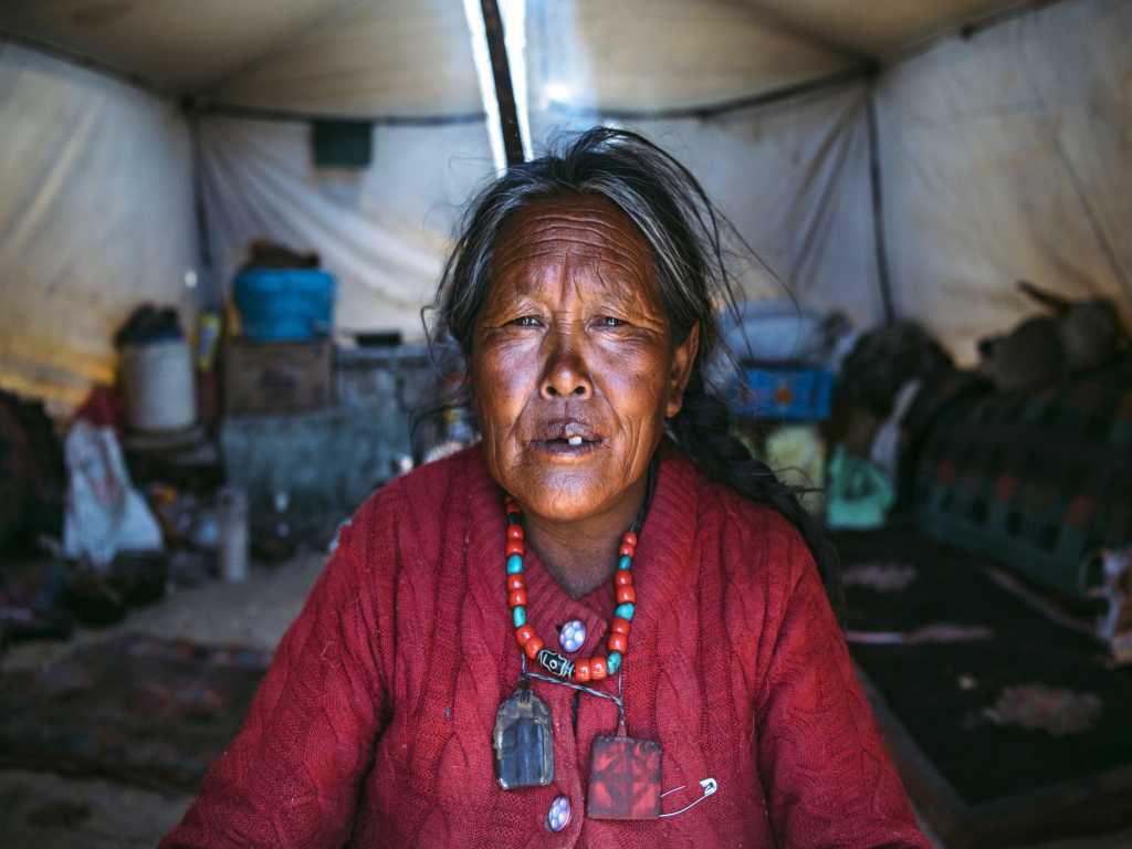 Changpa Nomad Woman Changthang Ladakh