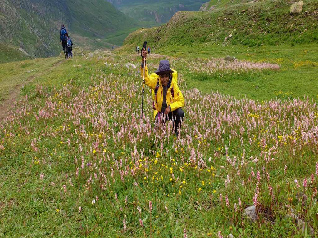 wildflowers on Kashmir Great Lakes_Eka Experiences