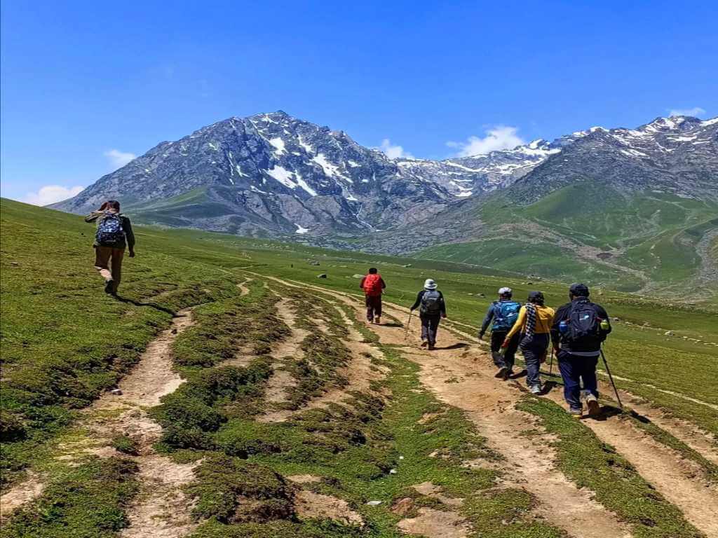 Meadows of kashmir_Kashmir Great Lakes_Eka Experiences