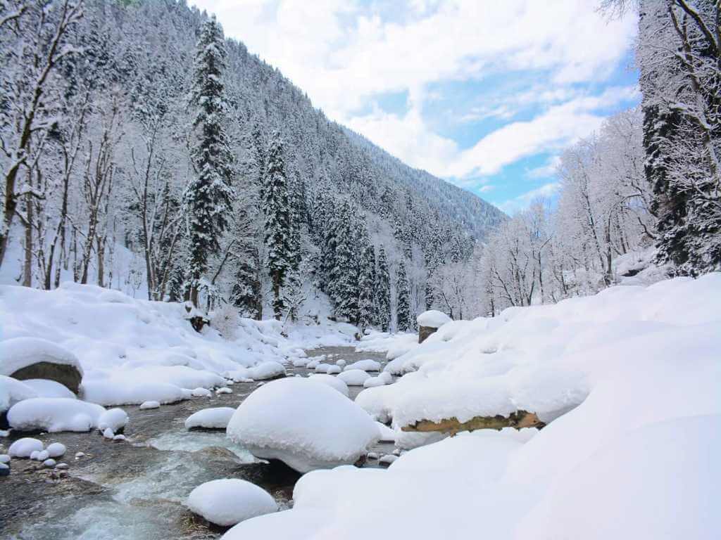 Snow-covered nature on Kashmir Winter Trek