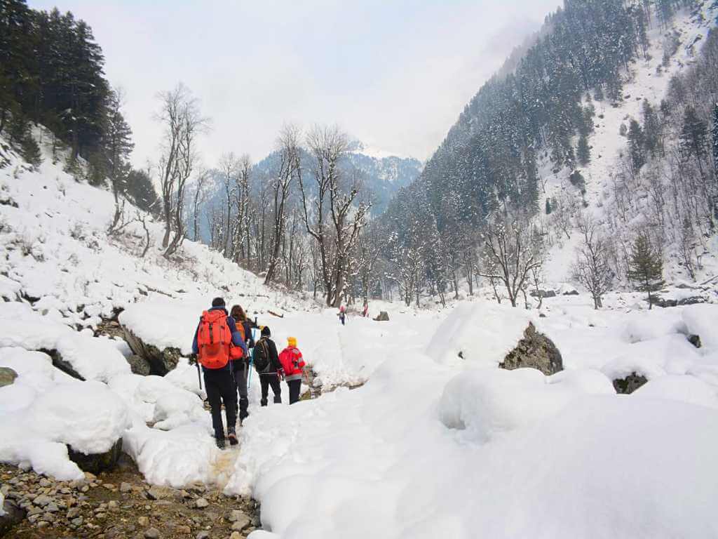 Trekking through snow on Kashmir Winter Trek