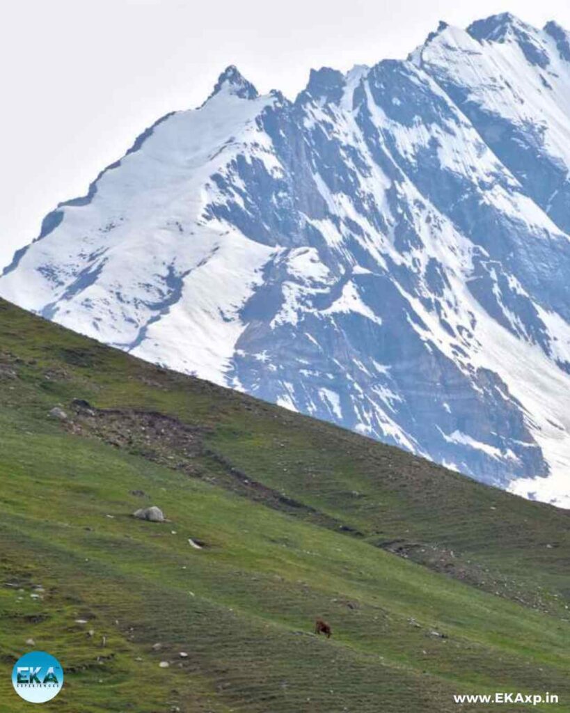 Snow-capped peaks in Suru Valley Tour in ladakh_Nag Geo 2025_Eka Experiences2 (1)