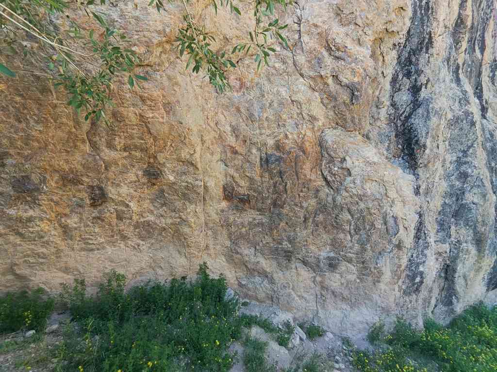 Carvings on Monolith Wall in Padum Zanskar Valley Tour 1 Eka Experiences