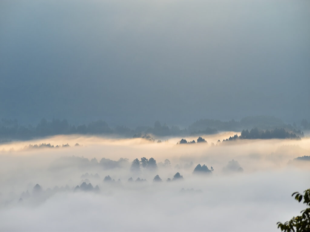 Blanket of Clouds over Pine Forests in Ziro Valley Arunachal_Eka Experiences™