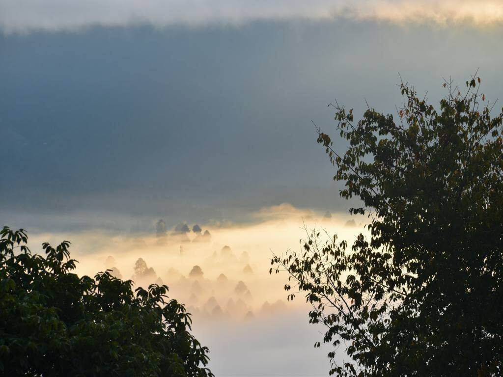 A Carpet of White Clouds in morning glow over Pine Forests in Ziro Valley Arunachal_Eka Experiences™