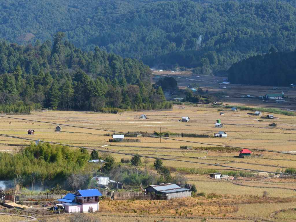 Huts in Paddy Fields of Ziro Valley Arunachal_Eka Experiences™