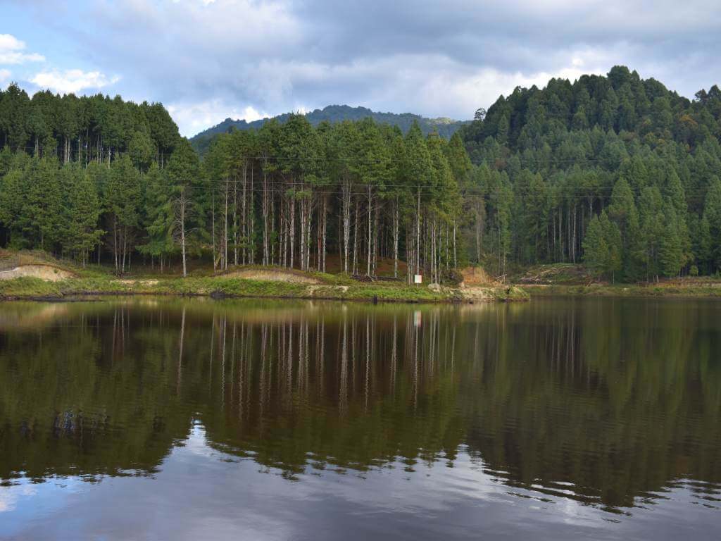 Pine Forests and Lake in Ziro Valley Tour in Arunachal_Eka Experiences™