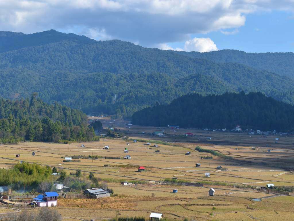 Rice Fields surrounded by Dense Forests in Ziro Valley Arunachal_Eka Experiences™