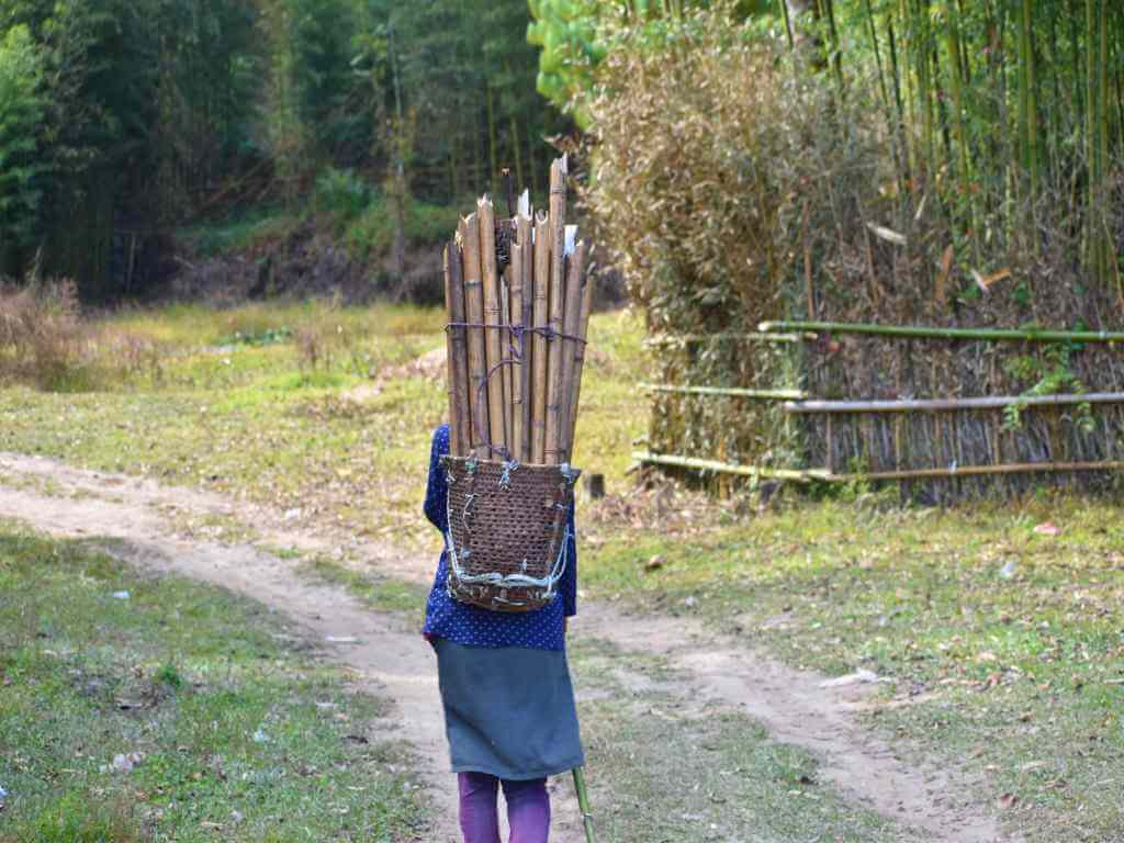 Woman Carrying Bamboo in Ziro Valley Arunachal_Eka Experiences™