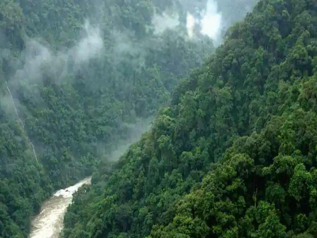 Dibang river flowing through steep green gorges on Dibang Valley Tour__Eka Experiences™