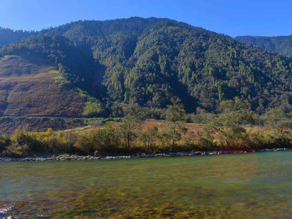 Forested Hills and Clear Streams on Dibang Valley Tour__Eka Experiences™