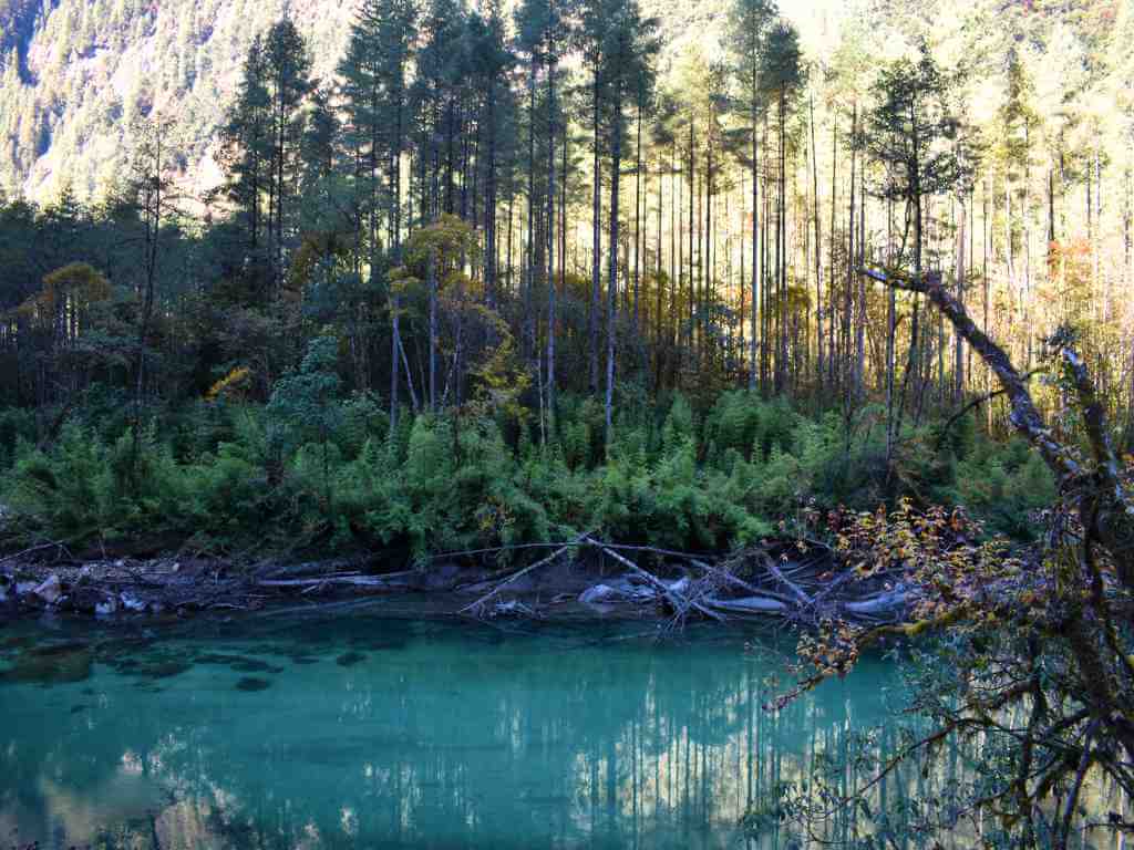 Forests Reflections on bluish waters of rivers on Dibang Valley Tour__Eka Experiences™