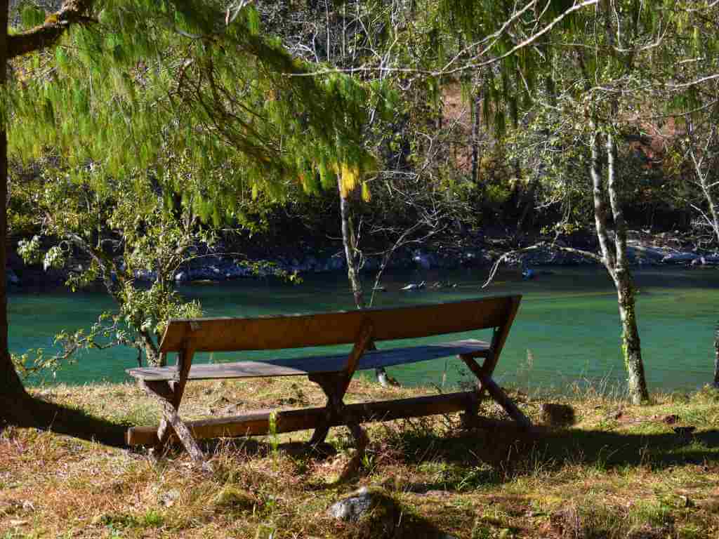 Sitting Bench on the bank of a green river on Dibang Valley Tour__Eka Experiences™